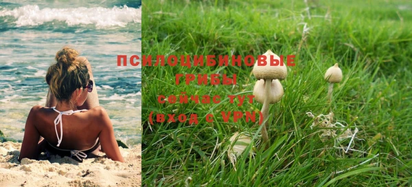 дурь Навашино