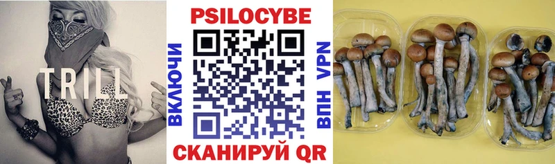Купить где  Никольск  Галлюциногенные грибы Magic Shrooms 