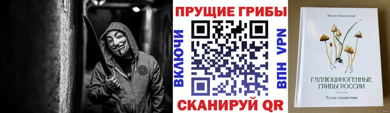 Псилоцибиновые грибы Psilocybe Никольск
